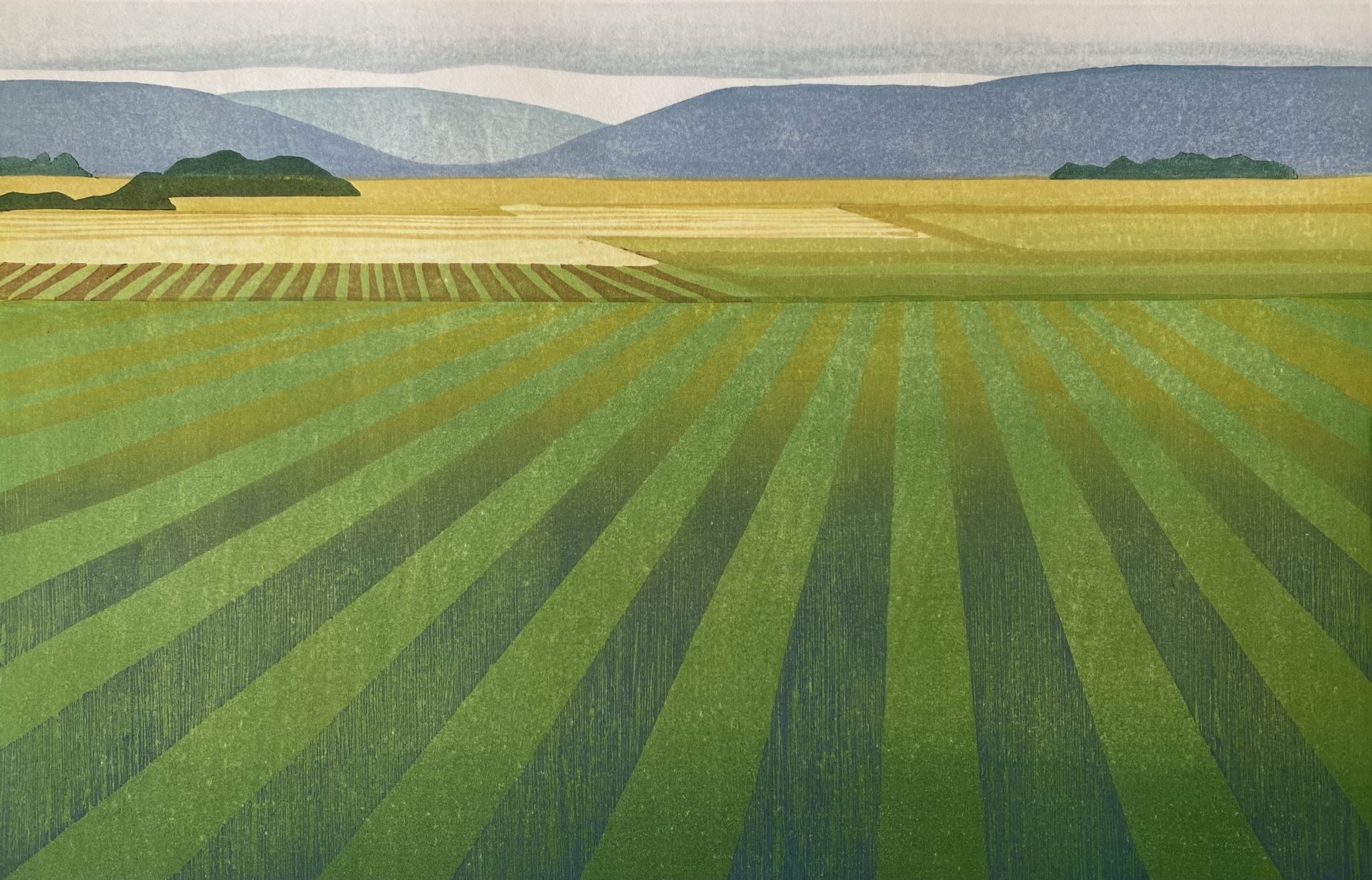 Almost Home by Lynita Shimizu