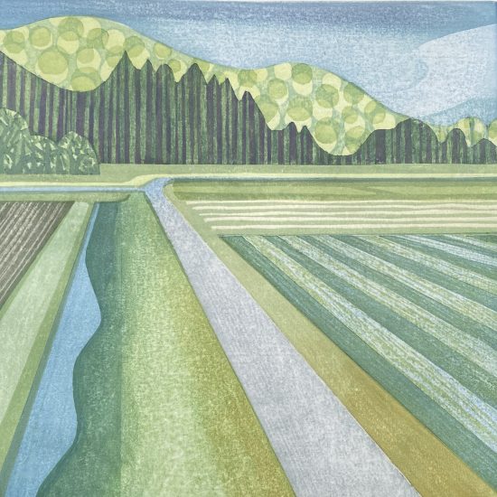 Field Geometry